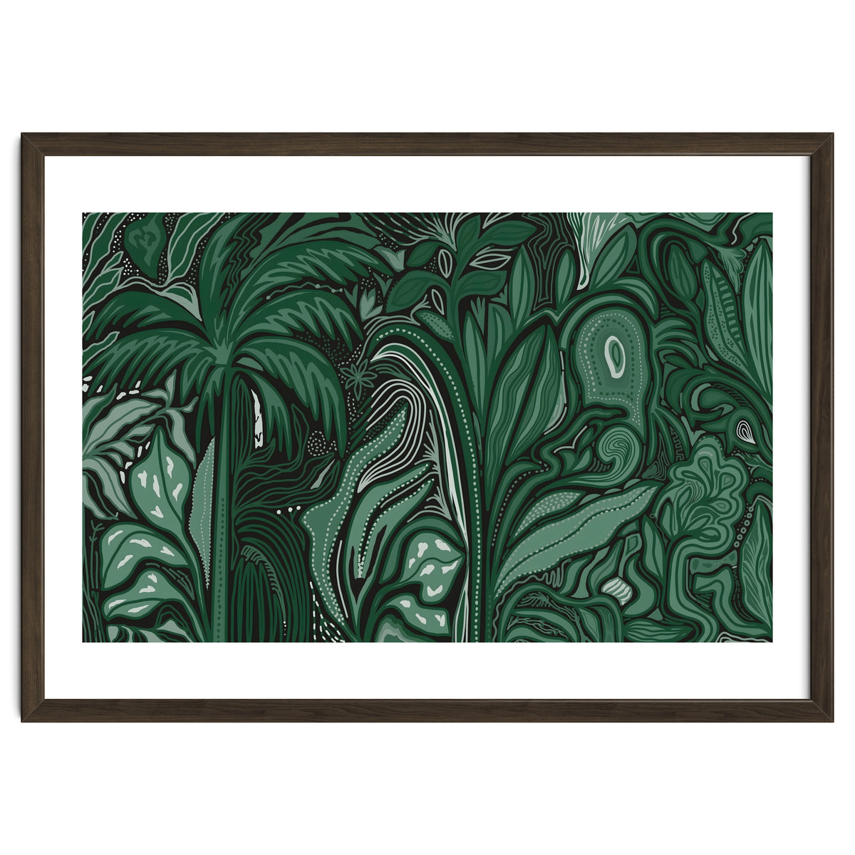 Noctiverdis magnifolia arcana tropical green