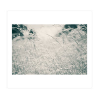 Walking Through Long Grass (Print Only)