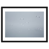 Flying seagulls in the winter sky thumbnail