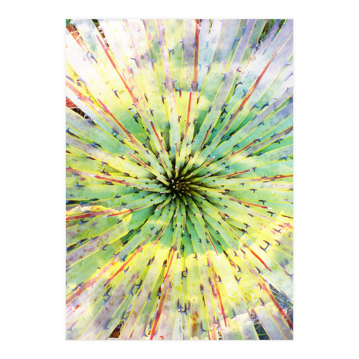 Bitter Sweet (Print Only)