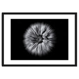 Backyard Flowers In Black And White No 10 Flow Version thumbnail