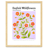 English Wildflowers | Scarlet Pimpernel thumbnail