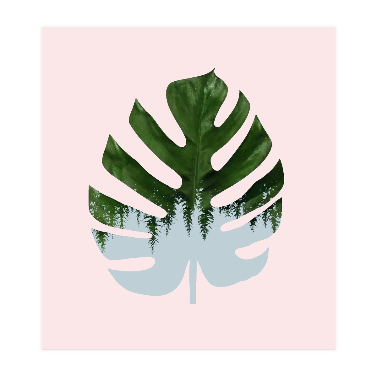 Monstera (Print Only)