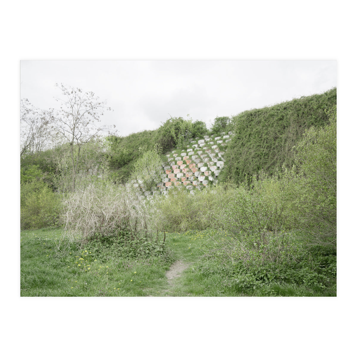 Green grass wall (Print Only)