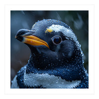 Macro view of a Penguin with Water Droplets (Print Only)