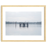 Birds rest in the Lake thumbnail