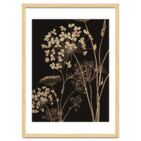 Wildflowers I