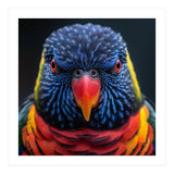 Close Up Of A Colorful Rainbow Lorikeet Bird (Print Only) thumbnail