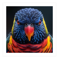 Close Up Of A Colorful Rainbow Lorikeet Bird (Print Only)