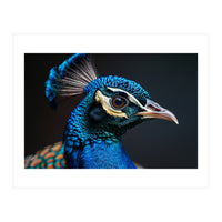 Close Up Peacock Head Blue Green Feather  (Print Only)