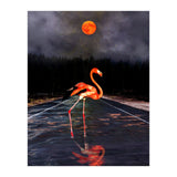 Flamingo and Red Moon  (Print Only) thumbnail