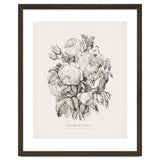 Currier & Ives – Rose of May (1870) thumbnail
