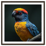 Close Up Colorful Parrot Perched On A Branch thumbnail