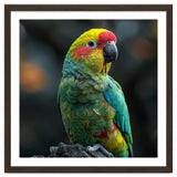 Vibrant Amazon Parrot Perched On A Branch thumbnail
