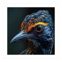 Close Up Of A Colorful Bird Head And Eye (Print Only)