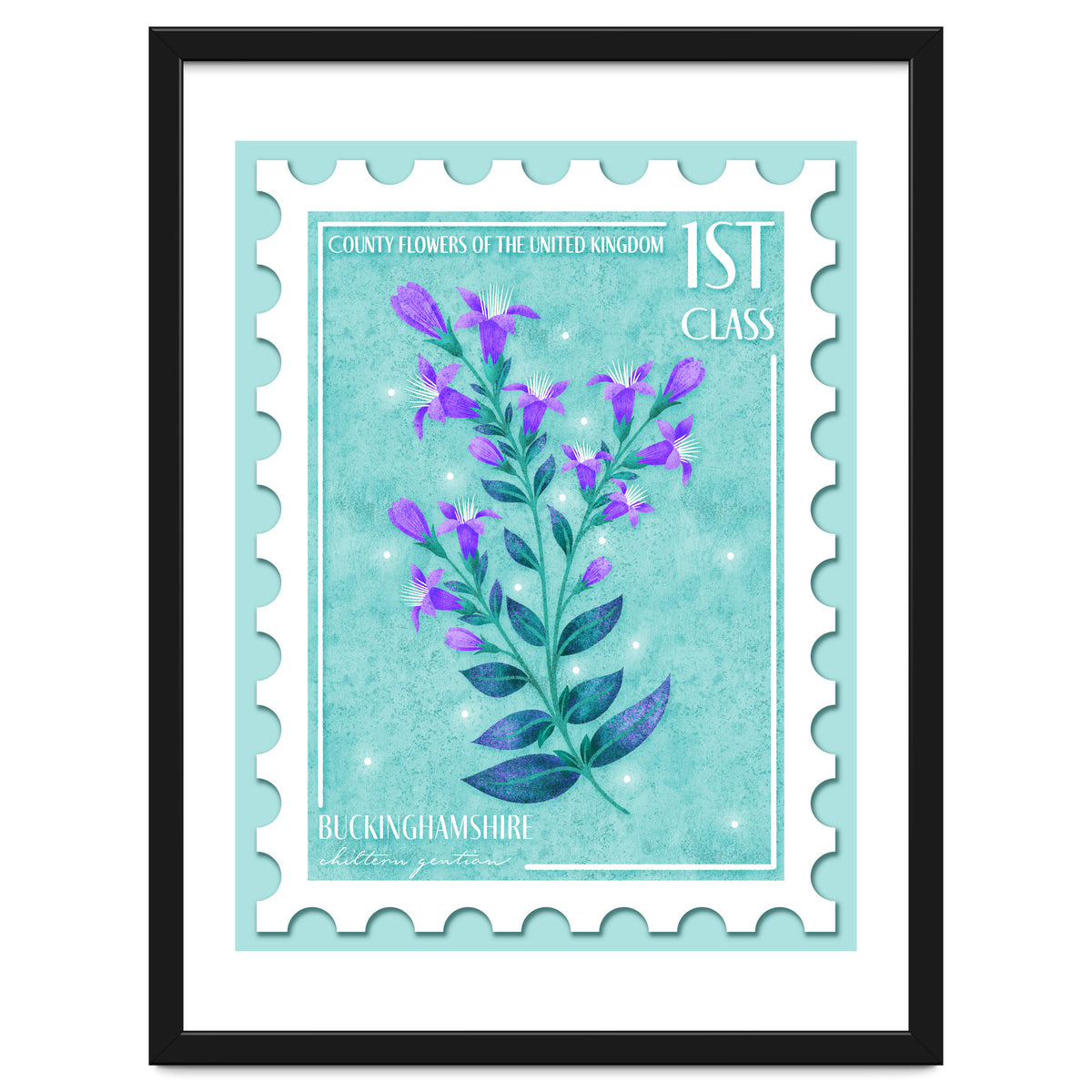 The Buckinghamshire Chiltern Gentian Postage Stamp
