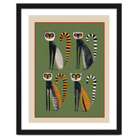Striped Lemurs