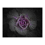 Backyard Flowers No 108 Color Version (Print Only) thumbnail