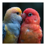 Two Lovebirds Nuzzling Close Up Portrait (Print Only) thumbnail