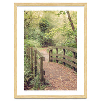 Path To The Bridge