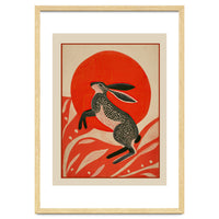 Hare And The Red Sun