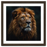 Majestic Lion Portrait In Gentle Rain thumbnail