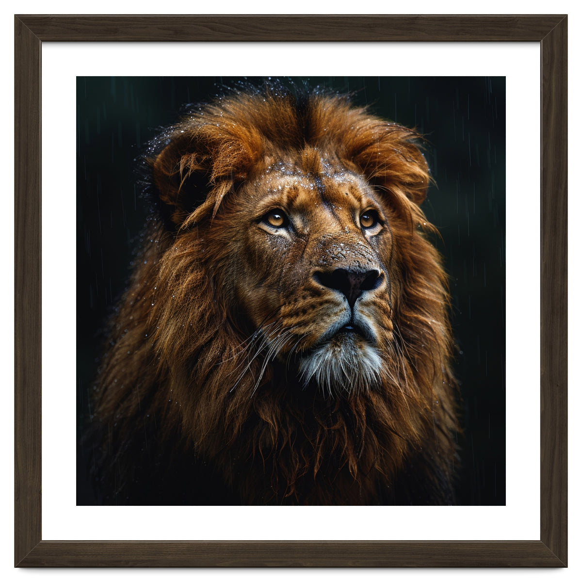 Majestic Lion Portrait In Gentle Rain