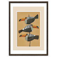 Tropic Trio