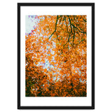 Autumn Leaves thumbnail