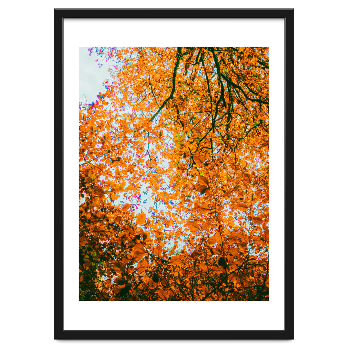 Autumn Leaves