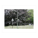 Signs at the corner of the street (Print Only) thumbnail