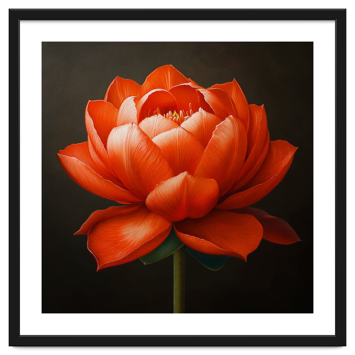 Double Lotus | Scarlet Solace