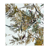 Patterns In Nature (Print Only) thumbnail
