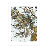 Patterns In Nature (Print Only) thumbnail