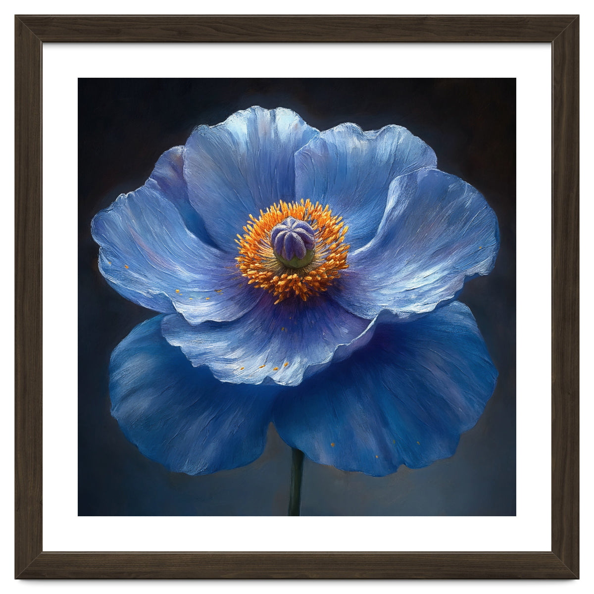 Meconopsis | Sapphire Serenade
