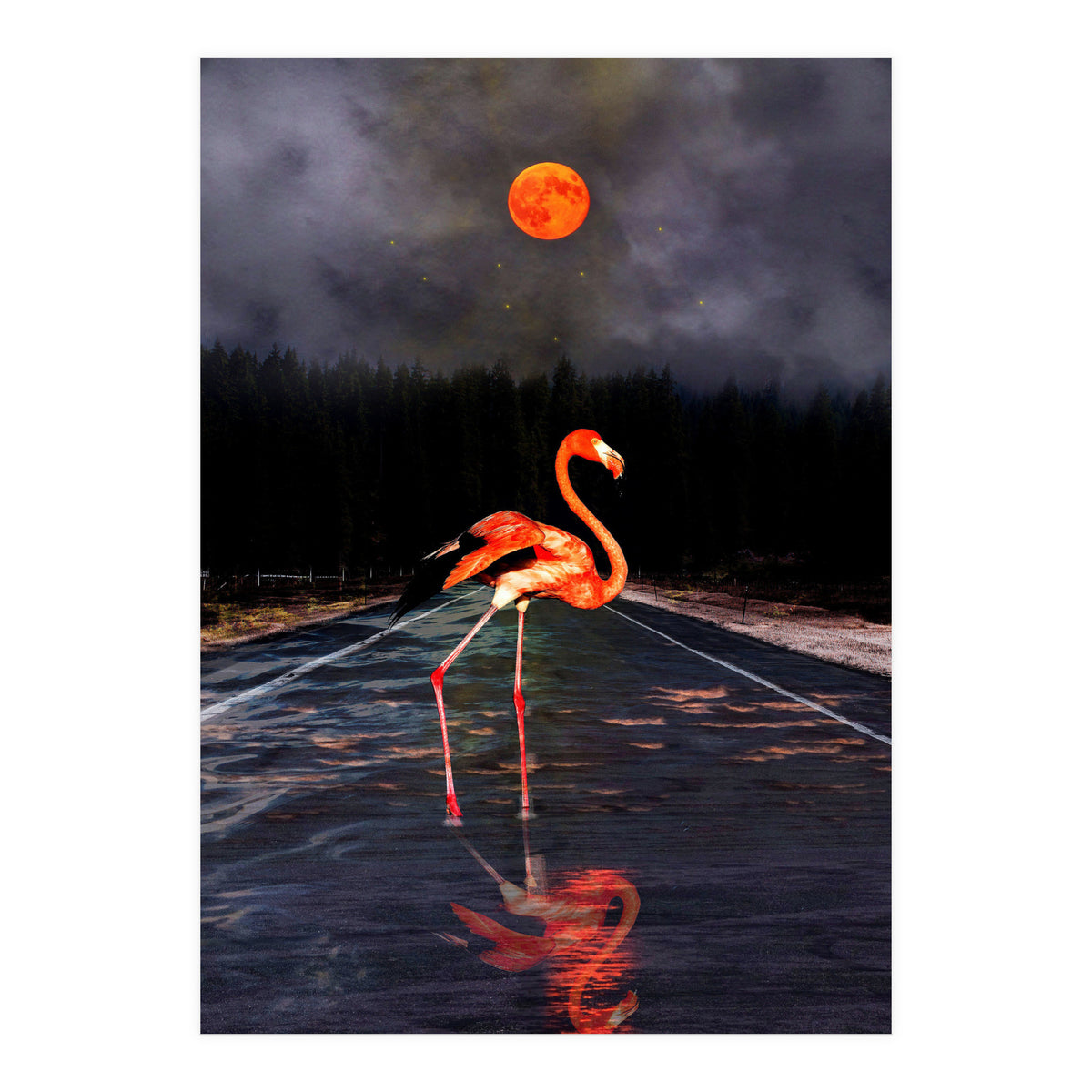 Flamingo and Red Moon  (Print Only)