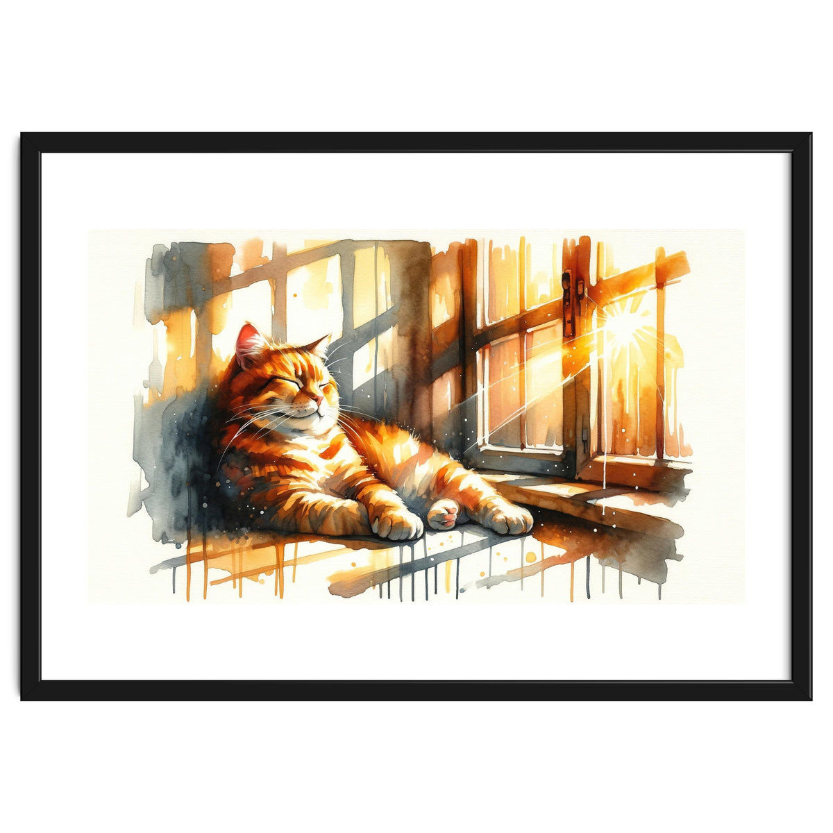 Cat Relaxing In Sunlight