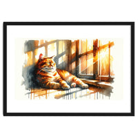 Cat Relaxing In Sunlight