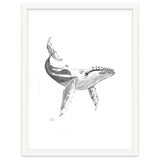 Whale thumbnail