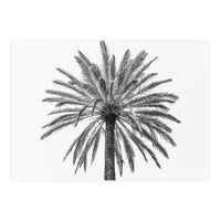 Palm tree in Italy (Print Only)