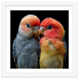 Two Lovebirds Nuzzle Together thumbnail