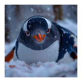 Close Up Gentoo Penguin In Snowy Landscape (Print Only) thumbnail