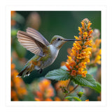 Hummingbird Feeding On Yellow Flowers Nectar (Print Only) thumbnail