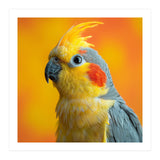 Close Up Cockatiel Parrot With Yellow Crest (Print Only) thumbnail