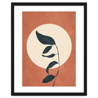 Summer Leaves
