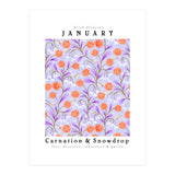 Carnation & Snowdrop January Birth Flower (Print Only) thumbnail