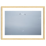A flying seagull in the winter sky thumbnail