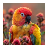 Close Up Of A Sun Conure Parrot With Bright Feathers (Print Only) thumbnail