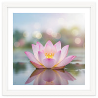 Ethereal Lotus Bloom: Serene Botanical Reflection
