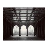Levitation (Print Only) thumbnail